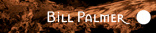 Bill Palmer